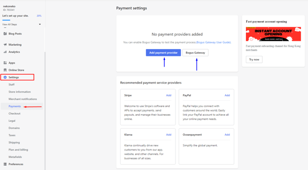 Screen where merchants can set up payment options on Shoplazza when learning how to start an online store.