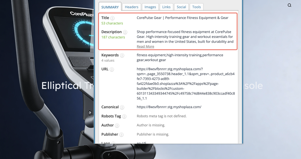 Shoplazza AI generates meta titile and description
